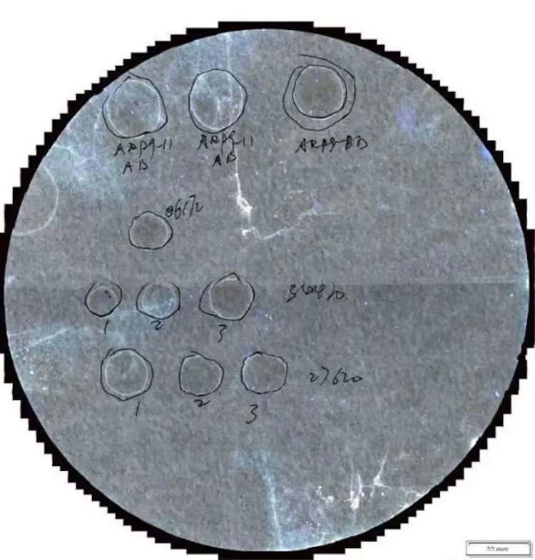 Chinese Nationals Smuggled Dangerous Fungus into U.S. 1 Photo released by the U.S. District Court for the Eastern District of Michigan shows what authorities say are biological pathogens Fusarium graminearum discovered in luggage at the airport in Detroit. (Image Credit: U.S. District Court for the Eastern District of Michigan)