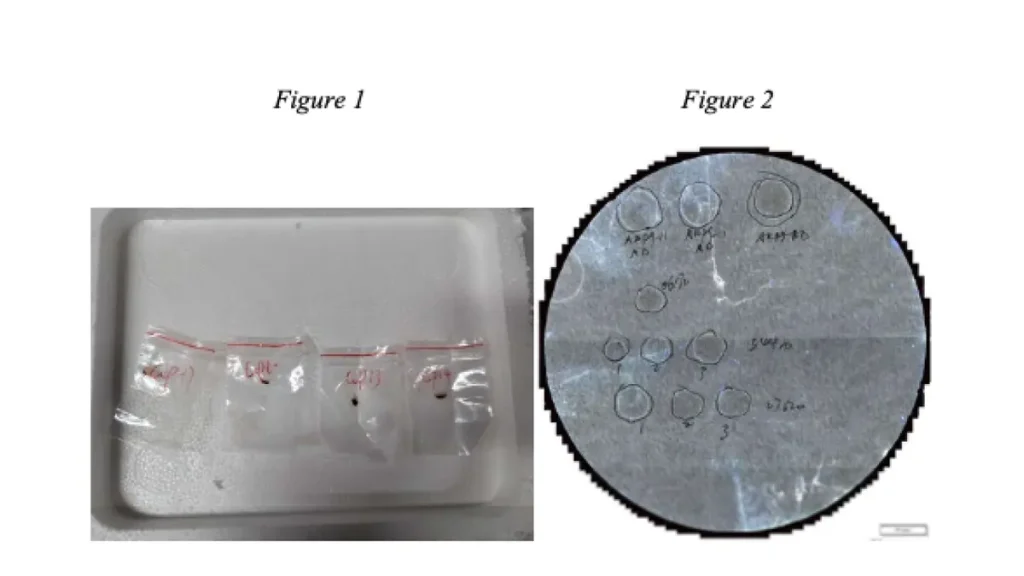 Deadly Chinese Fungus Fusarium graminearum Was Smuggled into U.S. By Two Chinese Nationalist.