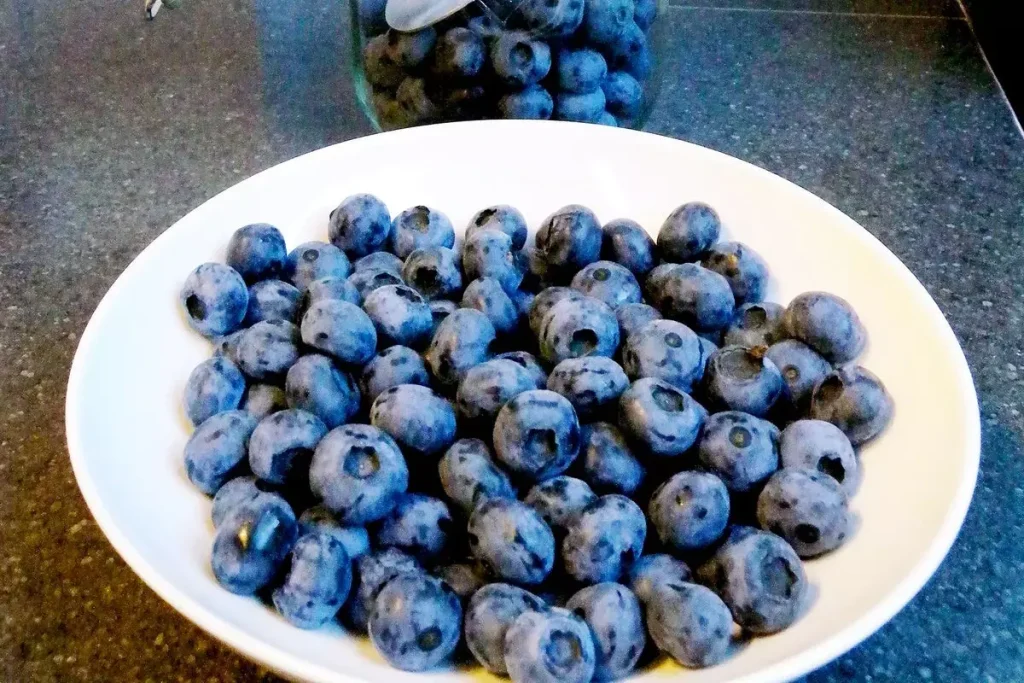 FDA Blueberry Recall 12,000 Pounds Of Potentially Listeria-infested Berry. (Image Credit: Nick Ansell/PA)